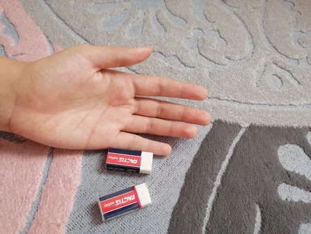 پاک کن فکتیس کد S30 بسته 2 عددی