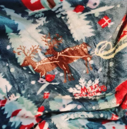 پتو مسافرتی مدل زمستانی سایز 160x200 سانتی متر