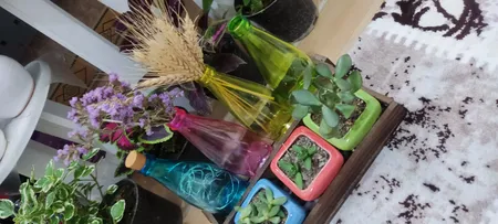 رنگ ویترای کامران مدل ورسای