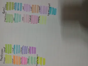 تجریه خرید ماژیک علامتگذار دو سر زبرا مدل MILDLINER سری Cool and Refined Colors