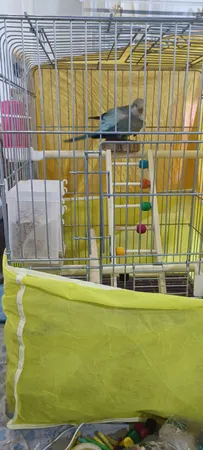 کاور قفس حیوانات مدل 1033