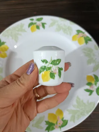 سرویس غذاخوری 28 پارچه چینی زرین ایران مدل رادیانس سیترونلا درجه یک