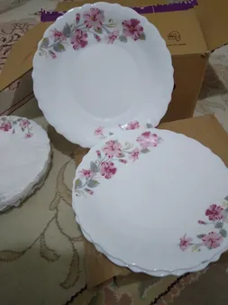 پیش دستی پارس اپال مدل 769 درجه یک بسته 6 عددی