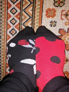 تجریه خرید جوراب زنانه ال سون طرح کفشدوزک کد PH422