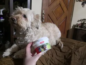 تجریه خرید قرص مولتی ویتامین سگ بیفار مدل تاپ 10 بسته 180 عددی