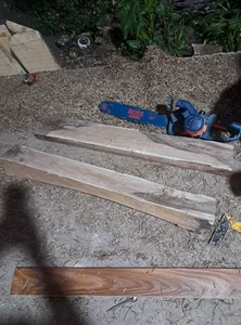 تجریه خرید اره زنجیری برقی صنعتی باس مدل LIFE_STYLE