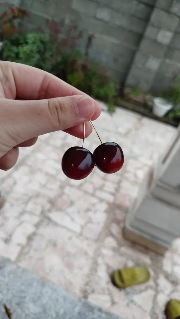 گوشواره زنانه ماصرم مدل گیلاسی کد ER2091