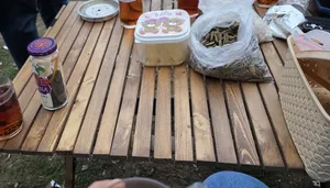 تجریه خرید میز سفری تاشو مدل کامپکت 90 سایز صفحه 90×70 سانتی متر