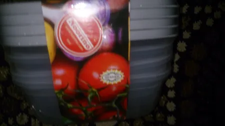 ظرف نگهدارنده نورینو مدل ناتاشادو بسته 4 عددی