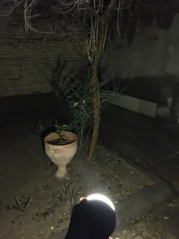 چراغ آویز چادر رونیکس مدل RH-4271