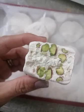 گز آردی28 درصد پسته گز شیرین - 730 گرم