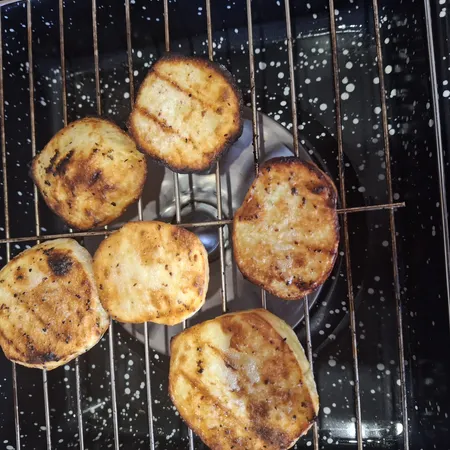 کباب پز روگازی صبا مدل رعنا