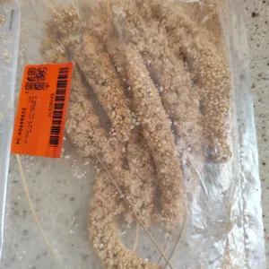 تجریه خرید غذای پرنده مدل ارزن خوشه ای کد 20104 بسته 5 عددی