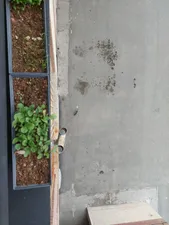 تجریه خرید بذر سبزی خوراکی فصل سبز کد SEED-FS-08 مجموعه 8 عددی