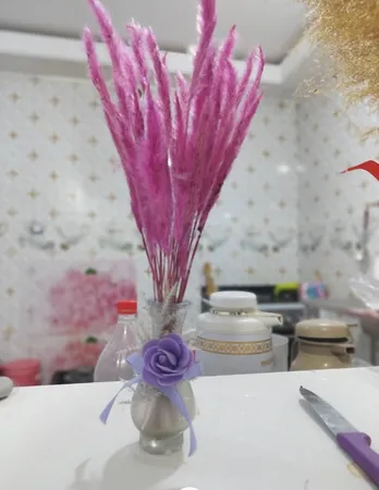 گل خشک مدل دم روباهی 10_4