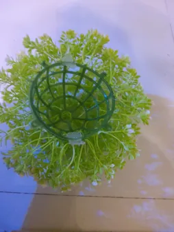 گیاه تزیینی آکواریوم آکوا مارس کد B09