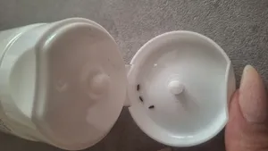 تجریه خرید ماسک مو کریستال مدل ضد وزی مو حجم 250 میلی لیتر