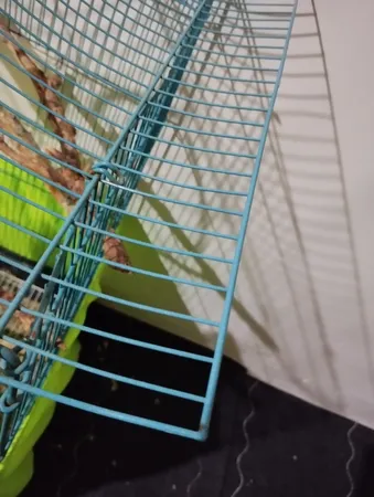 سر والف لاستیک دوچرخه هارمن مدل بدون باتری SKULL203 بسته 4 عددی