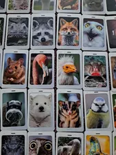 تجریه خرید بازی فکری زینگو مدل سلفی گراف