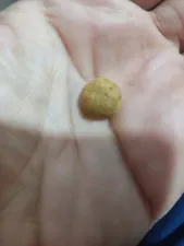 تجریه خرید غذای خشک گربه سلبن مدل Indoor Cat وزن 2.5 کیلوگرم