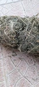 تجریه خرید یونجه خشک خرگوش و خوکچه خرگوشک مدل A001 وزن 1000 گرم