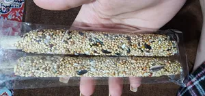 تجریه خرید استیک تشویقی طوطی سانان مدل my bird وزن 60 گرم