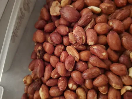 بادام زمینی لعابی صادراتی آنید - 1 کیلو گرم