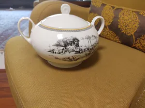 تجریه خرید سرویس چینی 102 پارچه غذا خوری چینی زرین ایران سری ایتالیا اف مدل ویلیج درجه یک