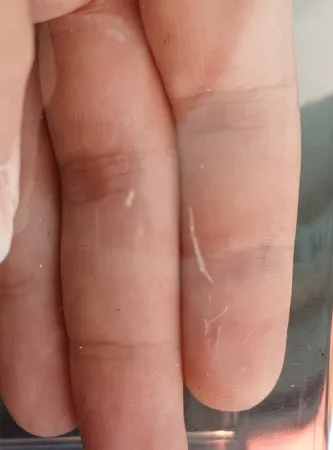 استند لوازم آرایشی هیواد مدل D3 بسته سه عددی