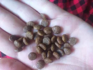 تجریه خرید خاک بستر گربه کت مت مدل M-VATE202 وزن 10 کیلوگرم