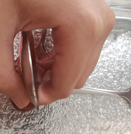 قاشق و چنگال غذا خوری مدل براق کد 3511  مجموعه 12 عددی