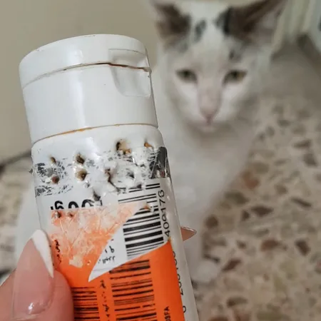 خمیر مالت گربه پرسا مدل antihairball وزن 100 گرم
