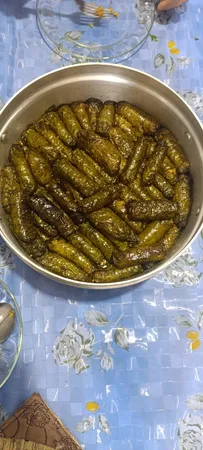 دلمه پیچ پارسینا مدل Quick Roller