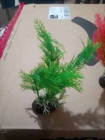 گیاه تزیینی آکواریوم کد 13