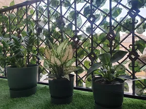 تجریه خرید چمن مصنوعی مدل Europe-J25 سایز 1×2 متر