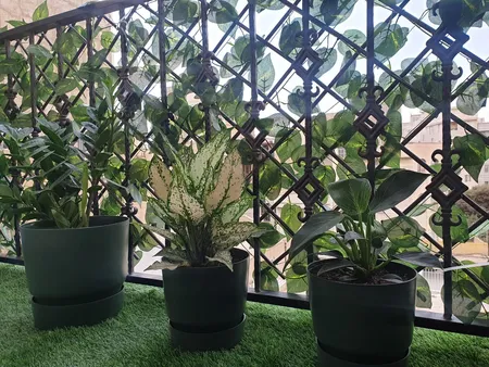 چمن مصنوعی مدل Europe-J25 سایز 1×2 متر