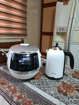 چای ساز میگل مدل GTS 190