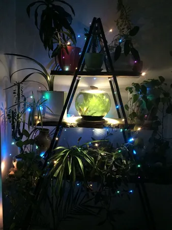 ریسه ال ای دی مدل USB10 طول 10 متر