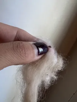 شانه ضد شپش مدل SS1