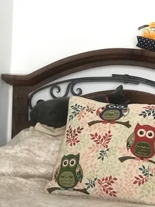 تجریه خرید پتو مسافرتی رویال مدل نیو کلاسیک سایز 220 × 160 سانتی متر