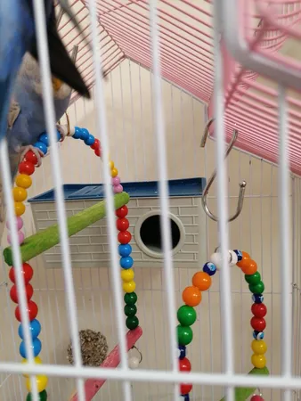 لانه پرنده مدل آجری کد 20109