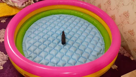 پمپ باد اینتکس مدل Double Quick