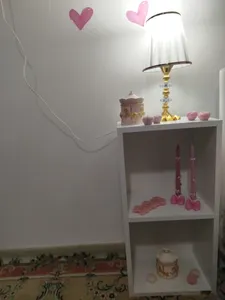 تجریه خرید شلف رومیزی چوبیکو مدل shelf450