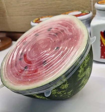 درپوش محافظ غذا مدل A11 بسته 6 عددی