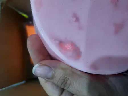 قالب رزین مدل صدف هفت سین