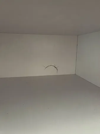 جاکفشی مدل الیت