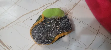 اسکاچ روستر مدل sunflower بسته 10 عددی