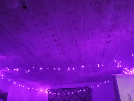 ریسه ال ای دی مدل سوزنی طرح پر طول 10 متری