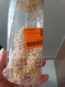 تجریه خرید غذای پرنده مدل ارزن خوشه ای کد 20104 بسته 5 عددی