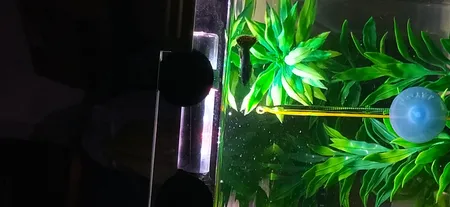 لامپ ال ای دی آکواریوم مدل B-10c